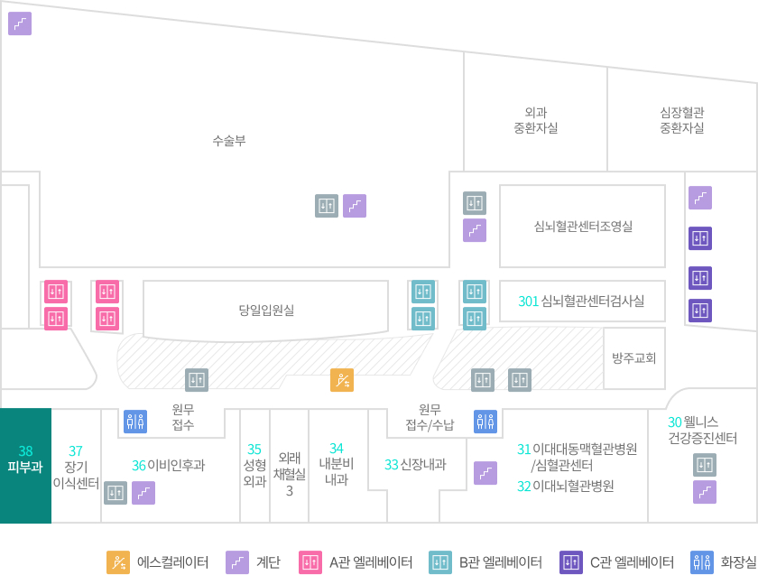 층별안내 3F 피부과