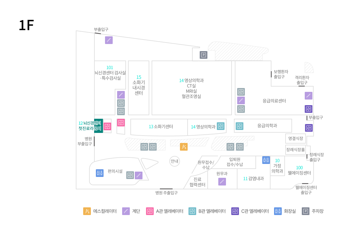 뇌신경센터 위치이미지